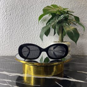 Triomphe Unisex Sunglasses